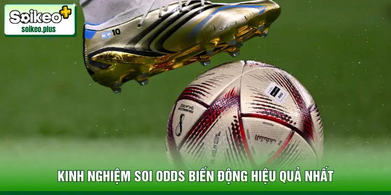 Kinh nghiệm soi Odds biến động hiệu quả nhất